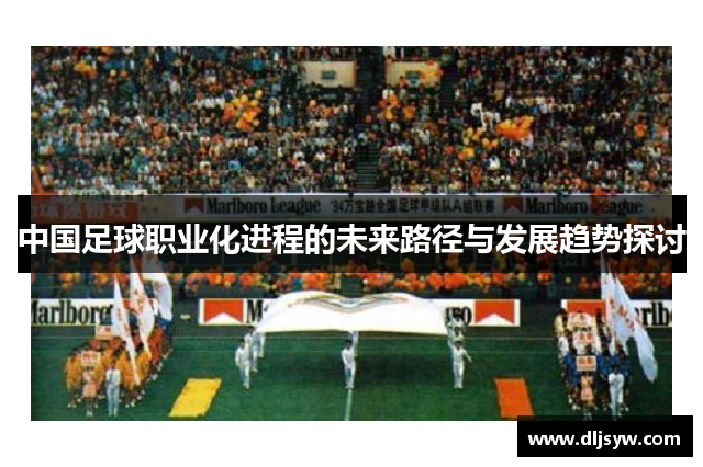 中国足球职业化进程的未来路径与发展趋势探讨