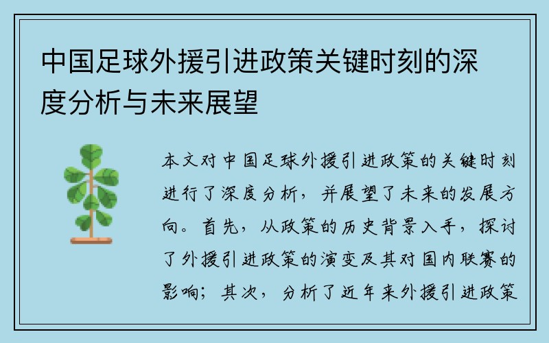 中国足球外援引进政策关键时刻的深度分析与未来展望