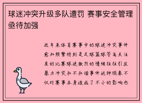 球迷冲突升级多队遭罚 赛事安全管理亟待加强