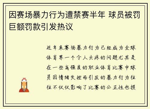因赛场暴力行为遭禁赛半年 球员被罚巨额罚款引发热议